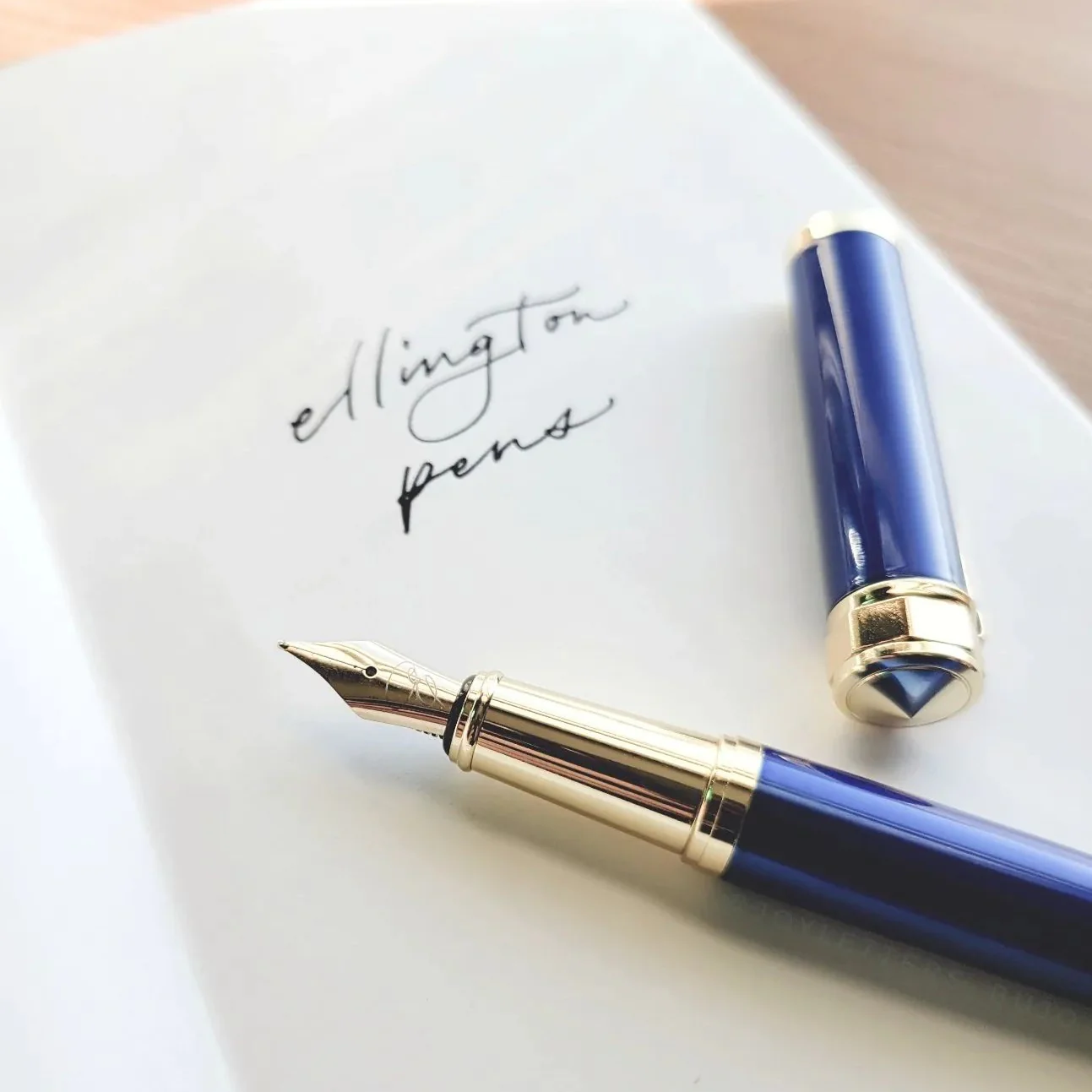 FREE Gift The Nautilus Extra Fine Nib - Image 9